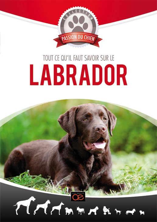 Le labrador Films