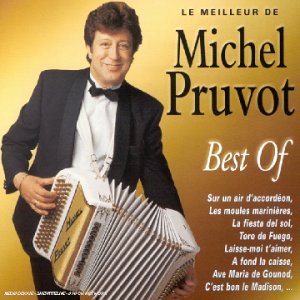 Le Meilleur De Michel Pruvot : Pop
