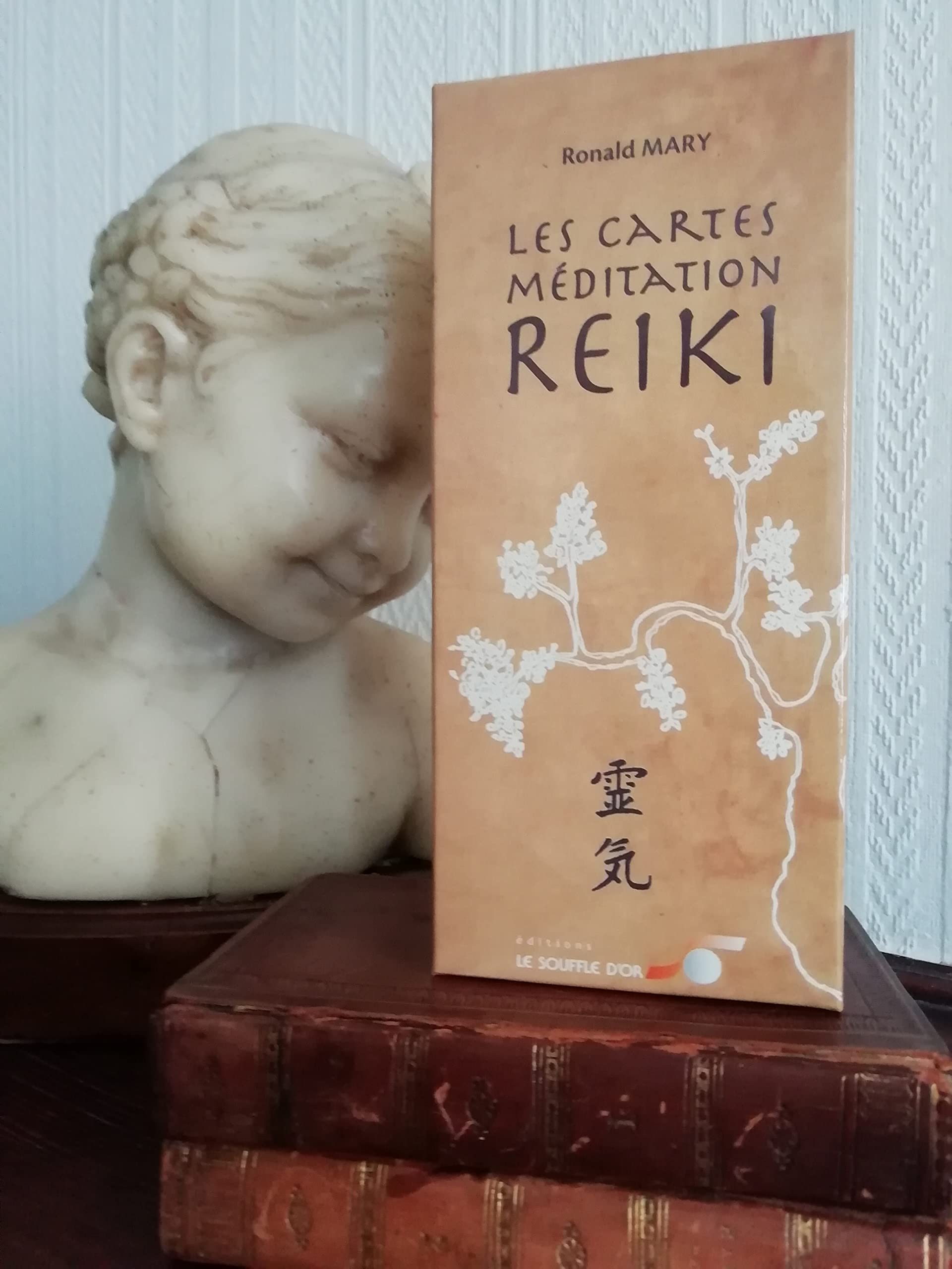 Les cartes méditation Reiki - 2ème édition Books