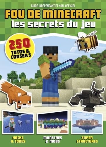Fou de Minecraft: Les secrets du jeu book