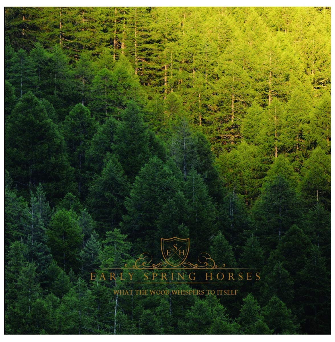 What The Wood Whispers to Itself cd