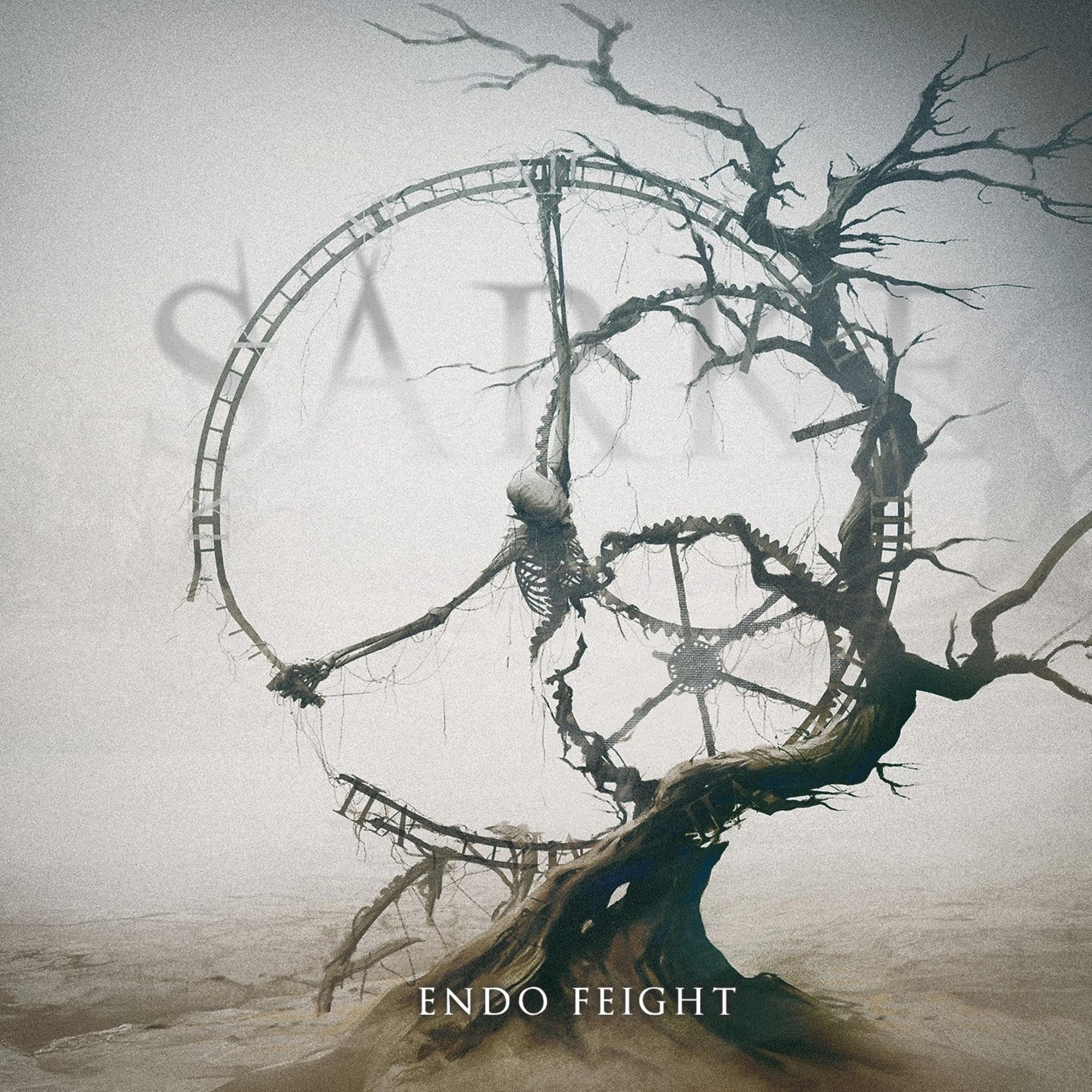 Product Image: Endo Feight (Black Vinyl)
