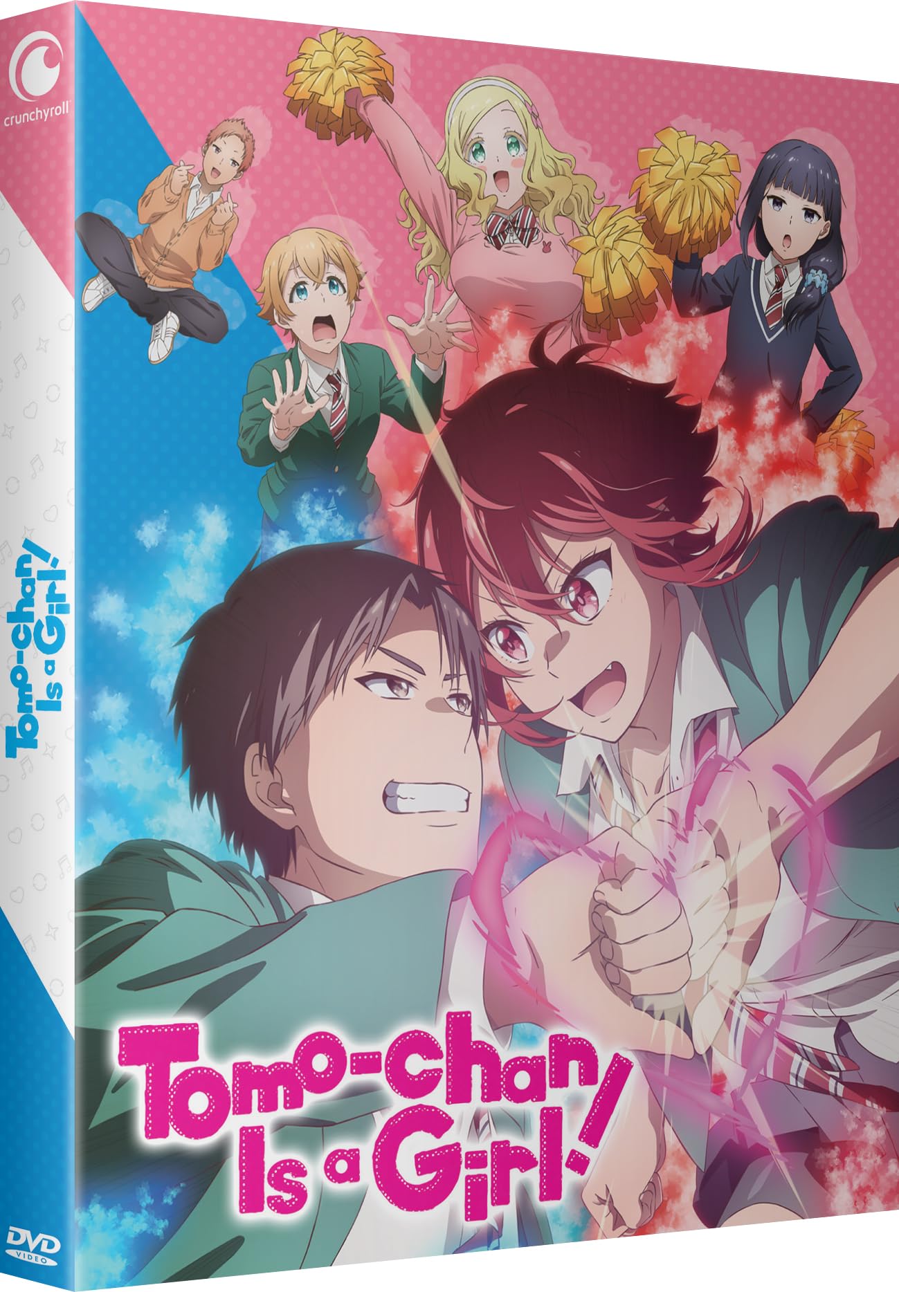 Tomo-Chan is a Girl-L'Intégrale dvd