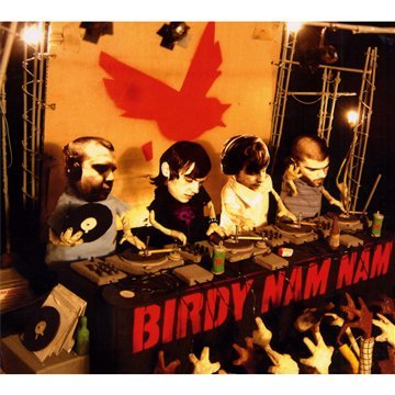 Birdy Nam Nam Other music genres