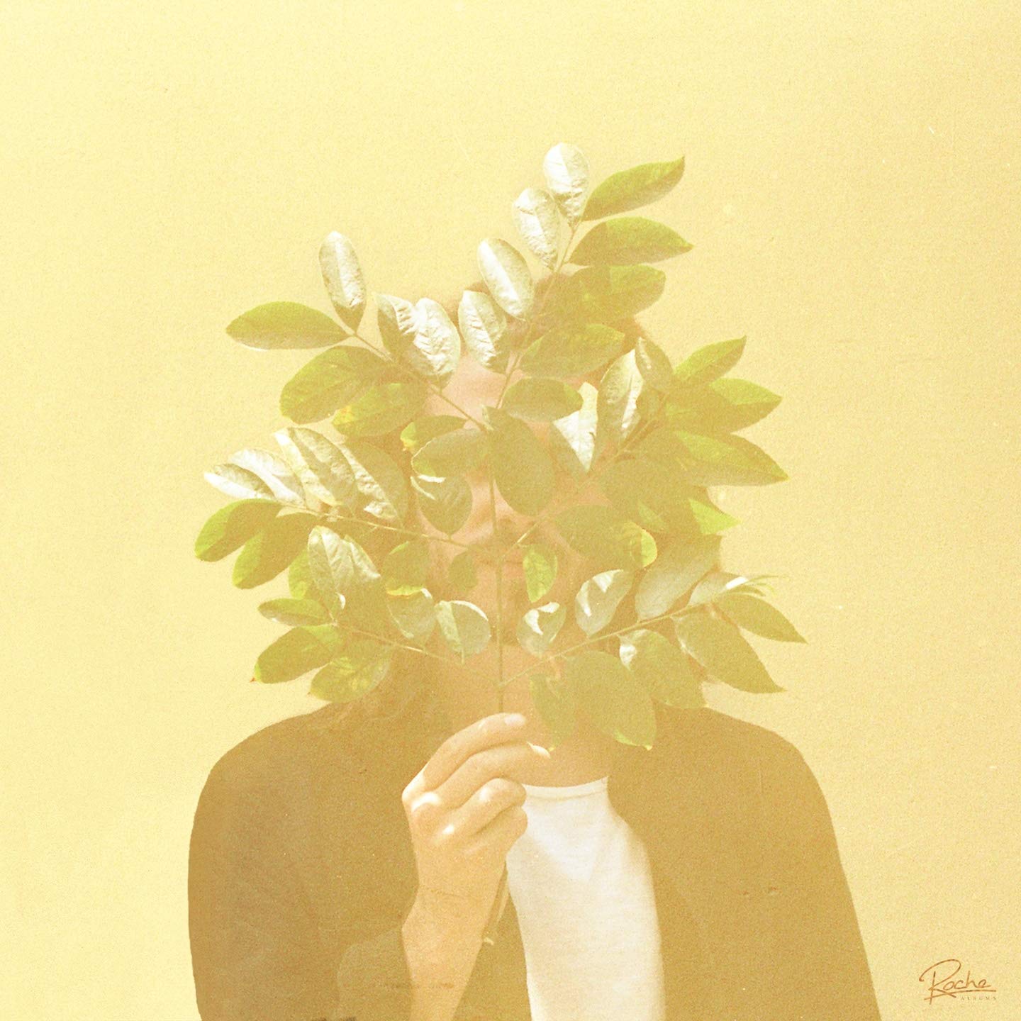 Fkj "French Kiwi Juice" Dance & Electronic