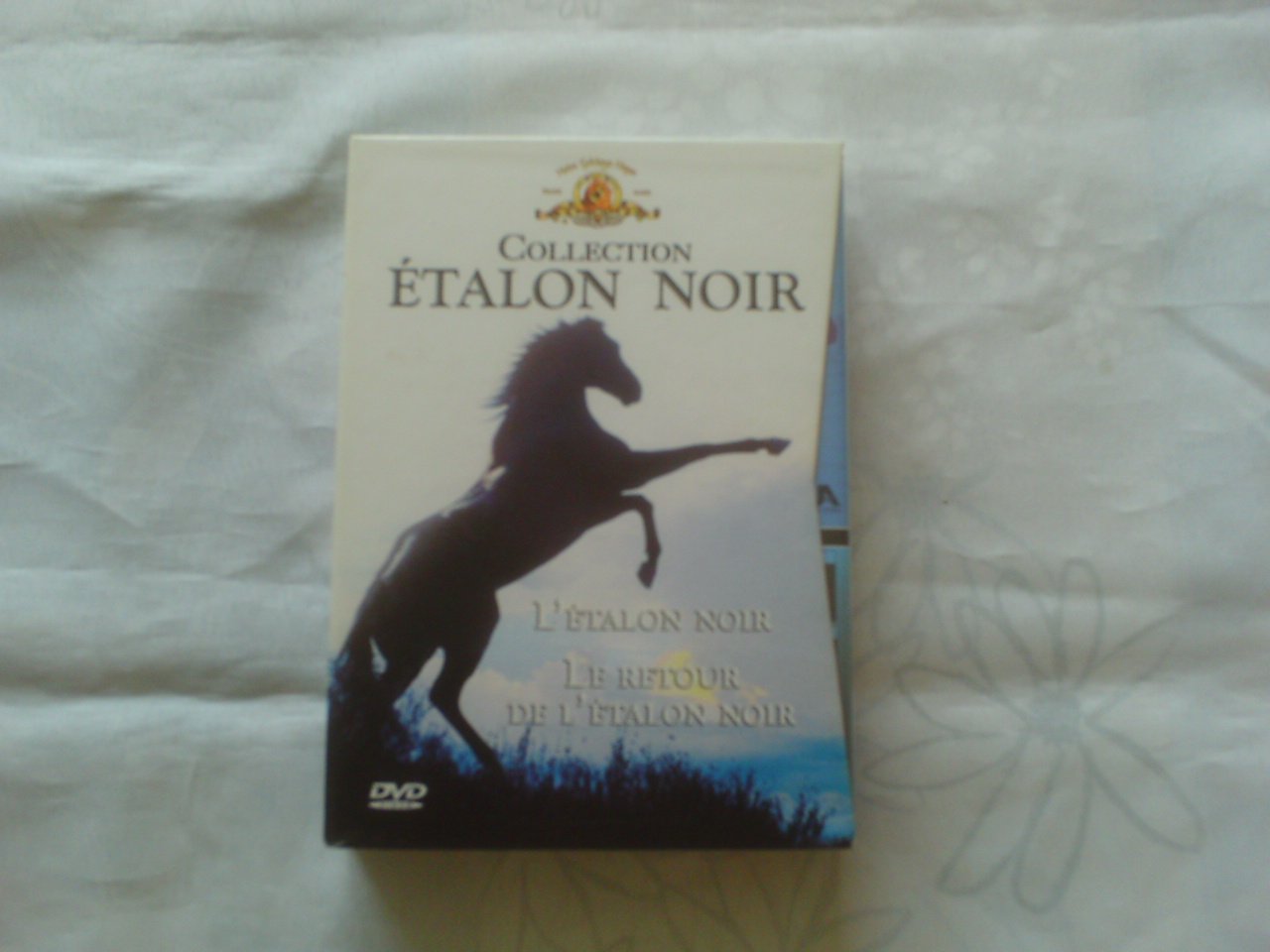 Coffret L'Etalon Noir : L'Etalon Noir / Le retour de l'Etalon Noir - Édition 2 DVD Movies