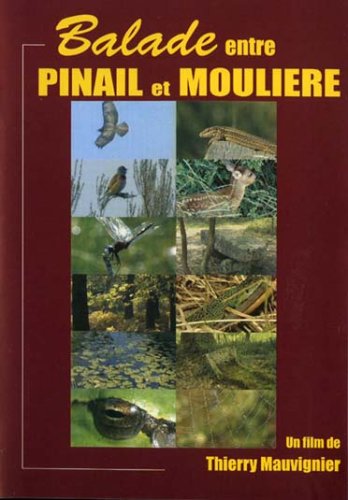 Balade entre pinail et moulière Films