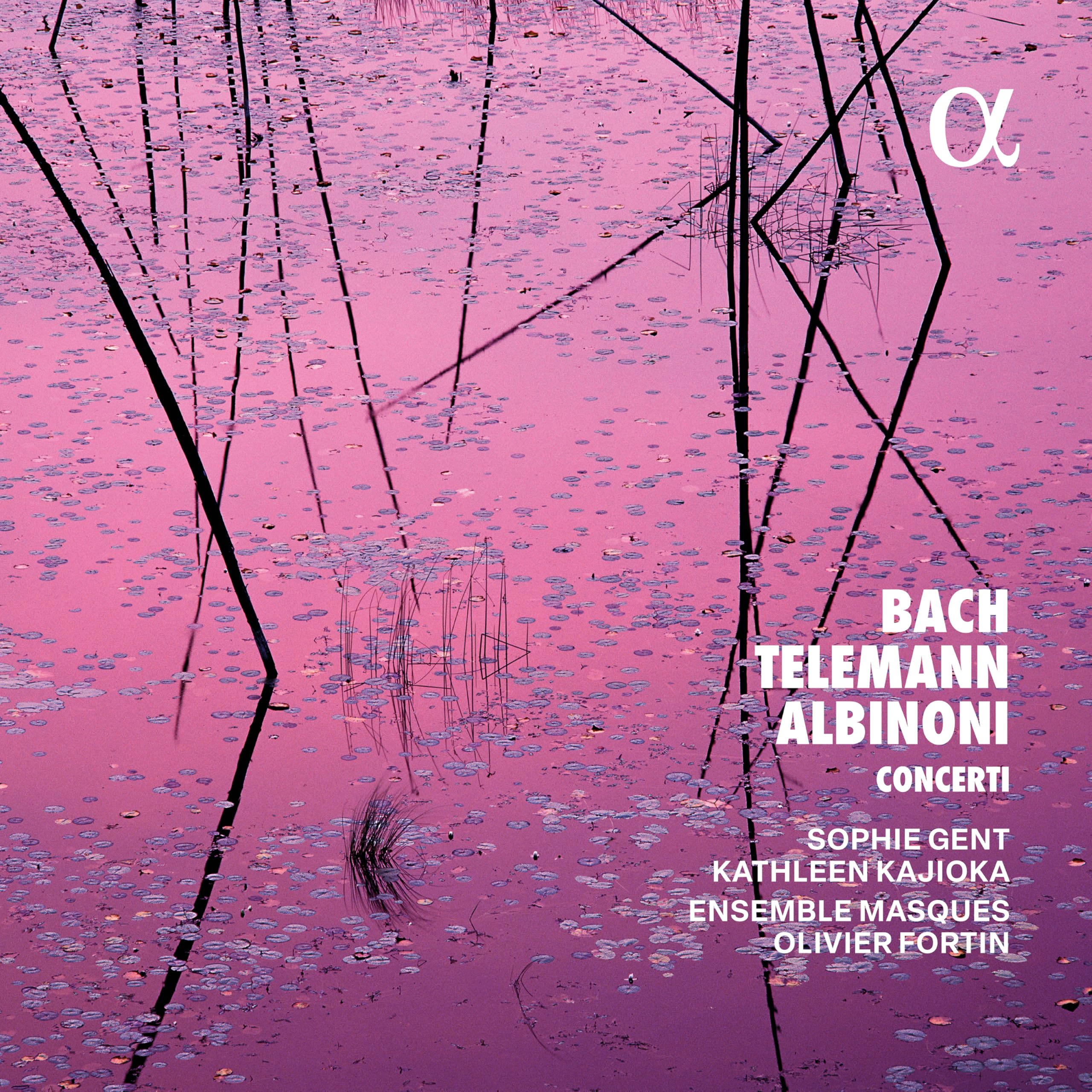Bach,Telemann & Albinoni: Concerti Music