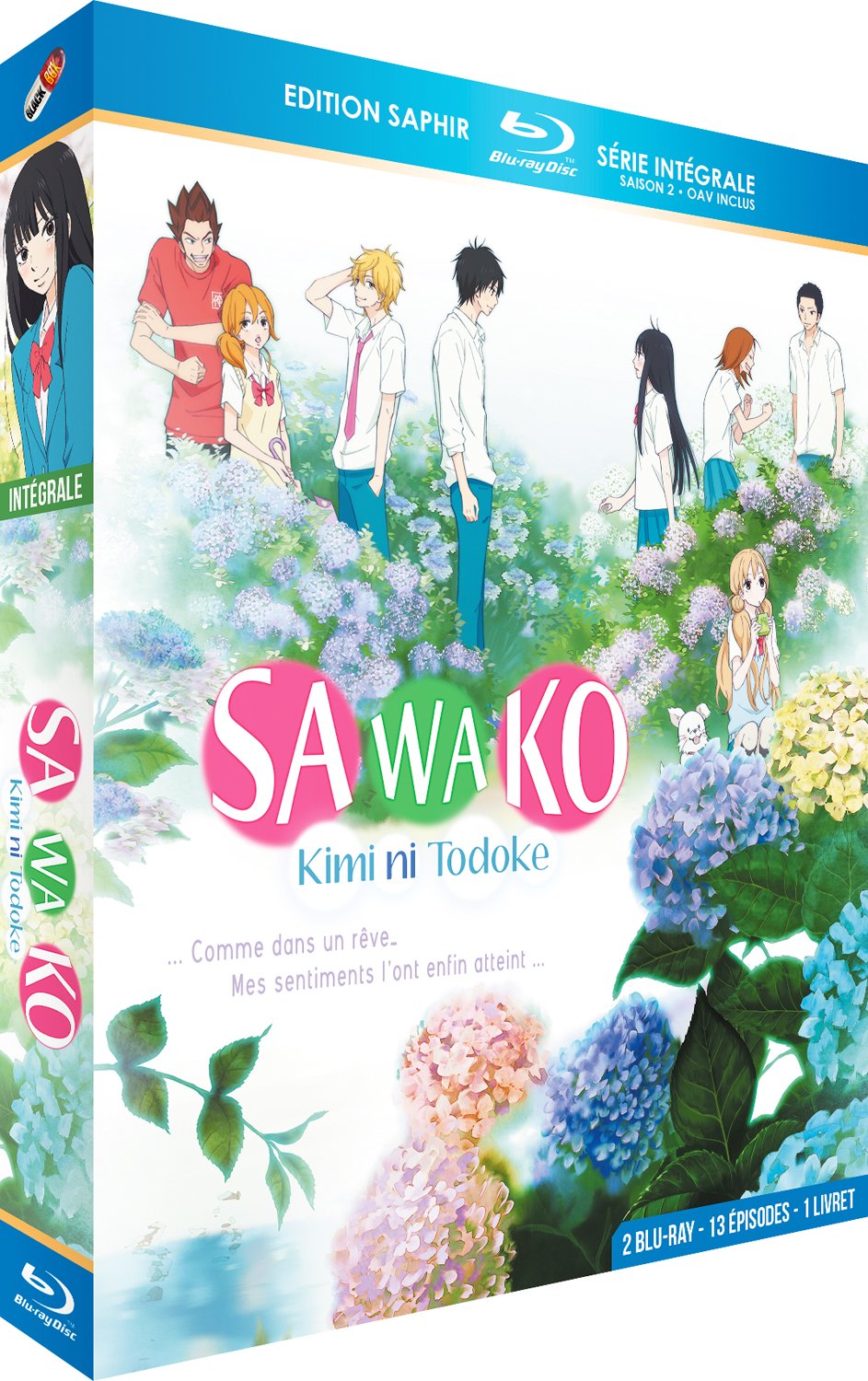 Kimi ni todoke (Sawako) -Intégrale Saison 2 + OAV dvd