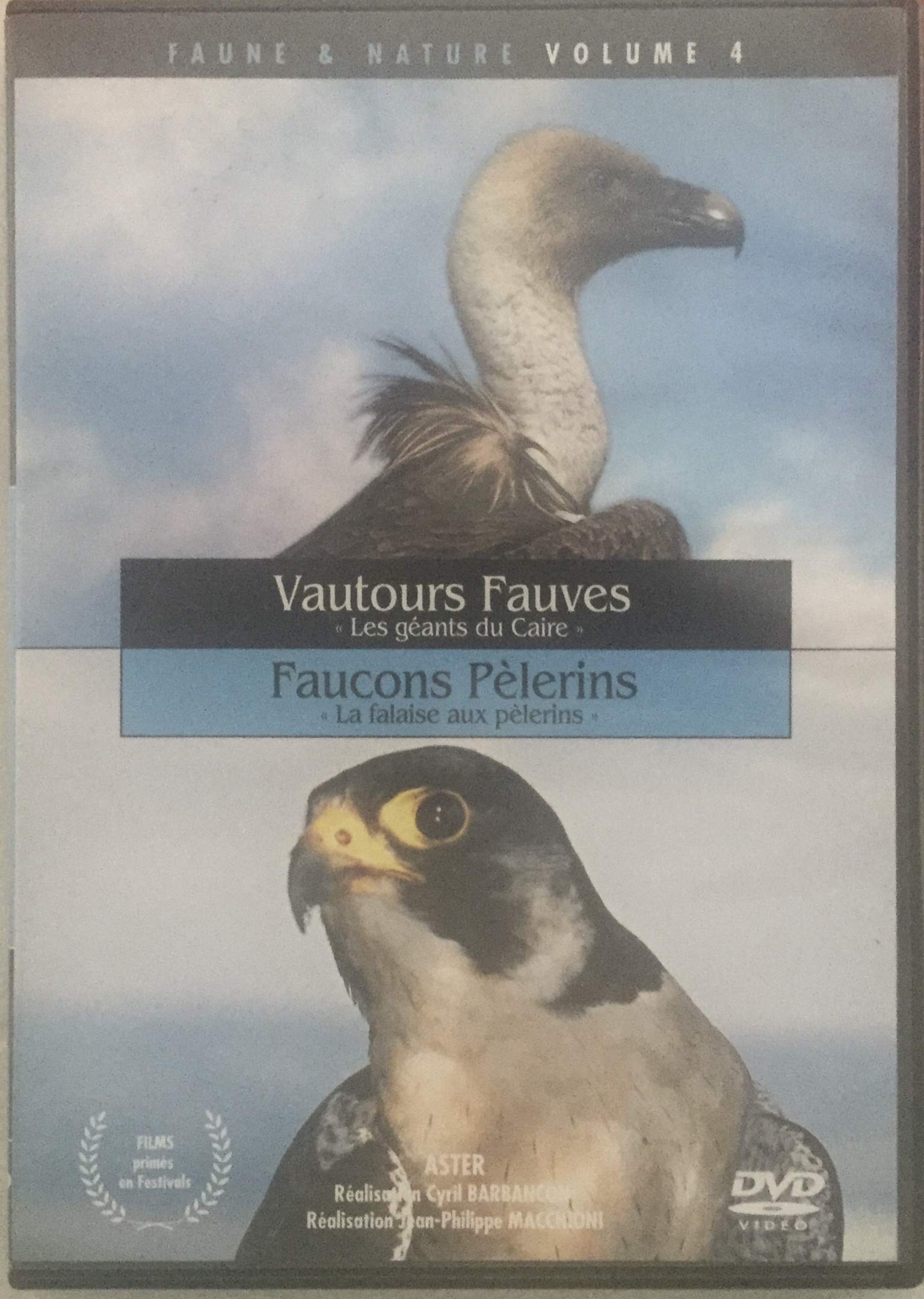 Vautours et faucons Films