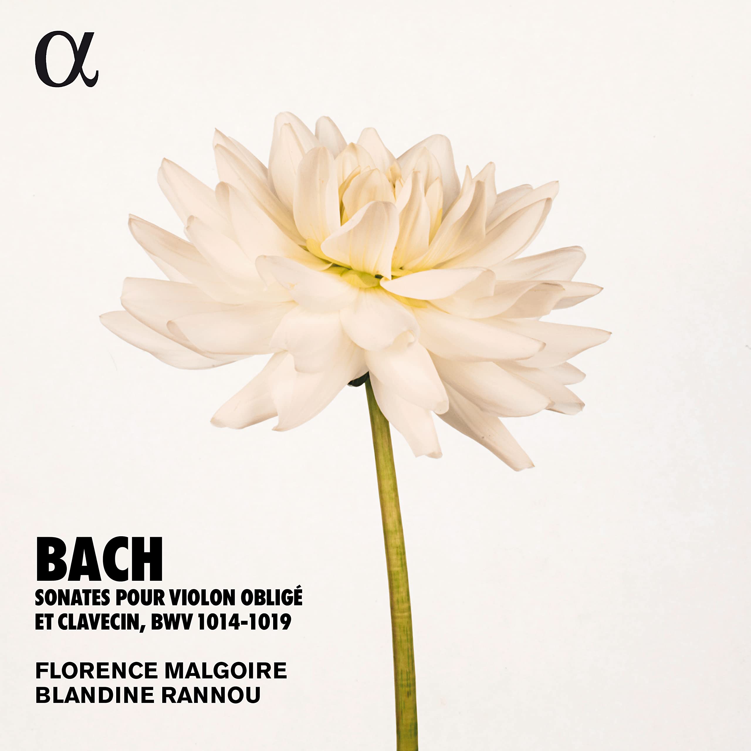 Sonaten für Violine & Cembalo BWV 1014-1019 Classical