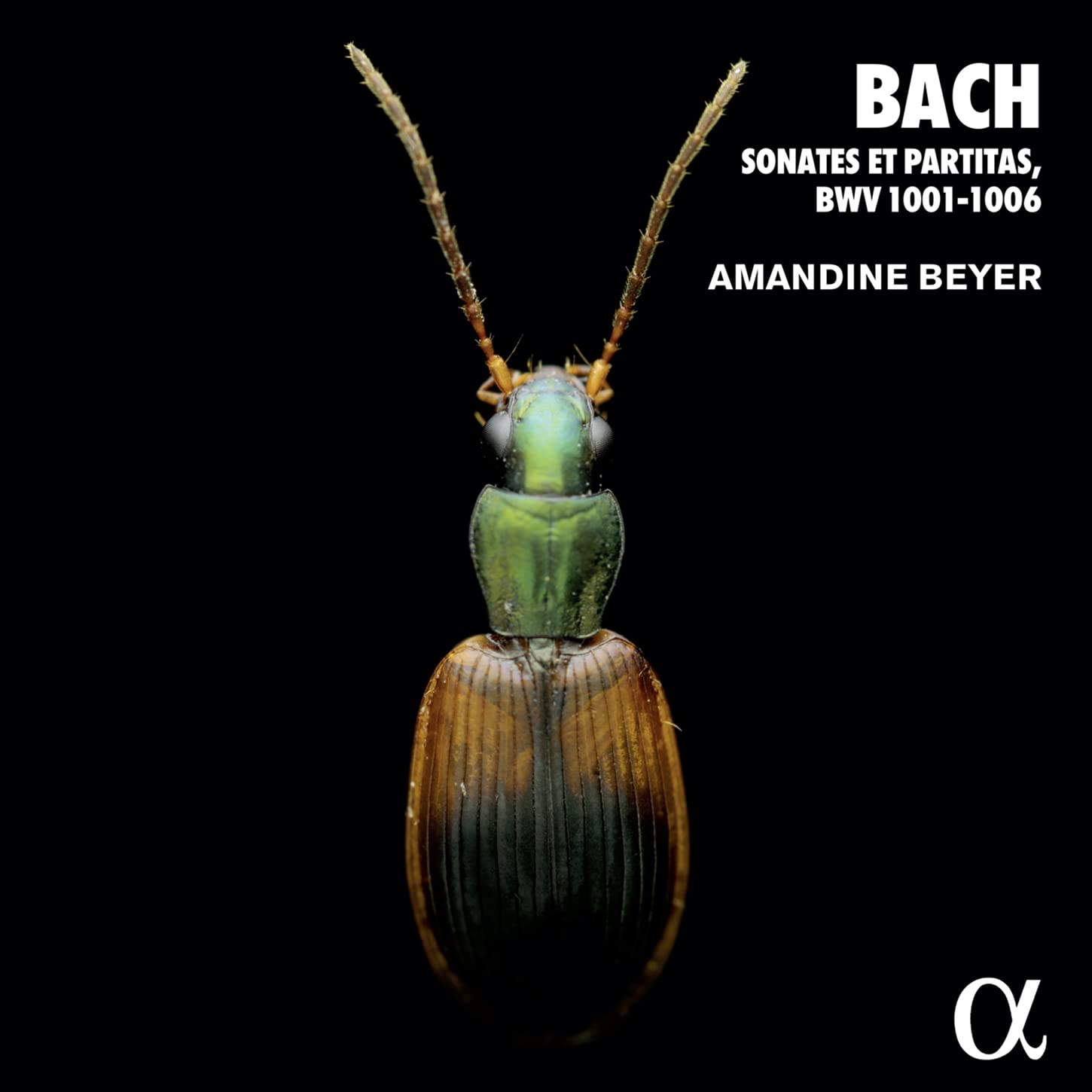 J.S. Bach: Sonaten und Partiten für Violine solo BWV 1001-1006 Classical