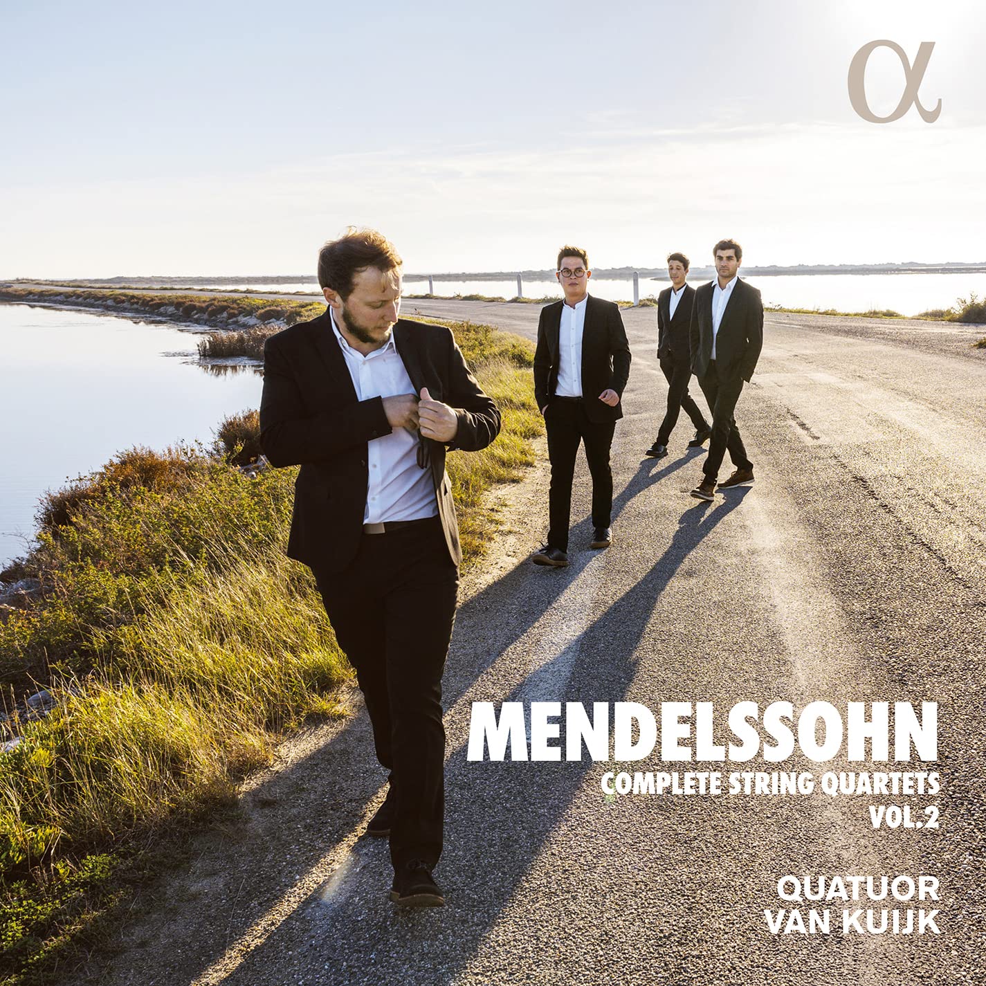 Product Image: Die Streichquartette Vol.2