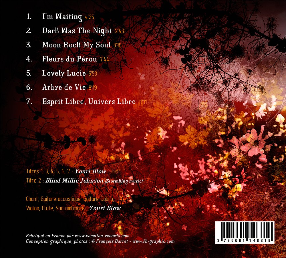 Moon rock my soul cd