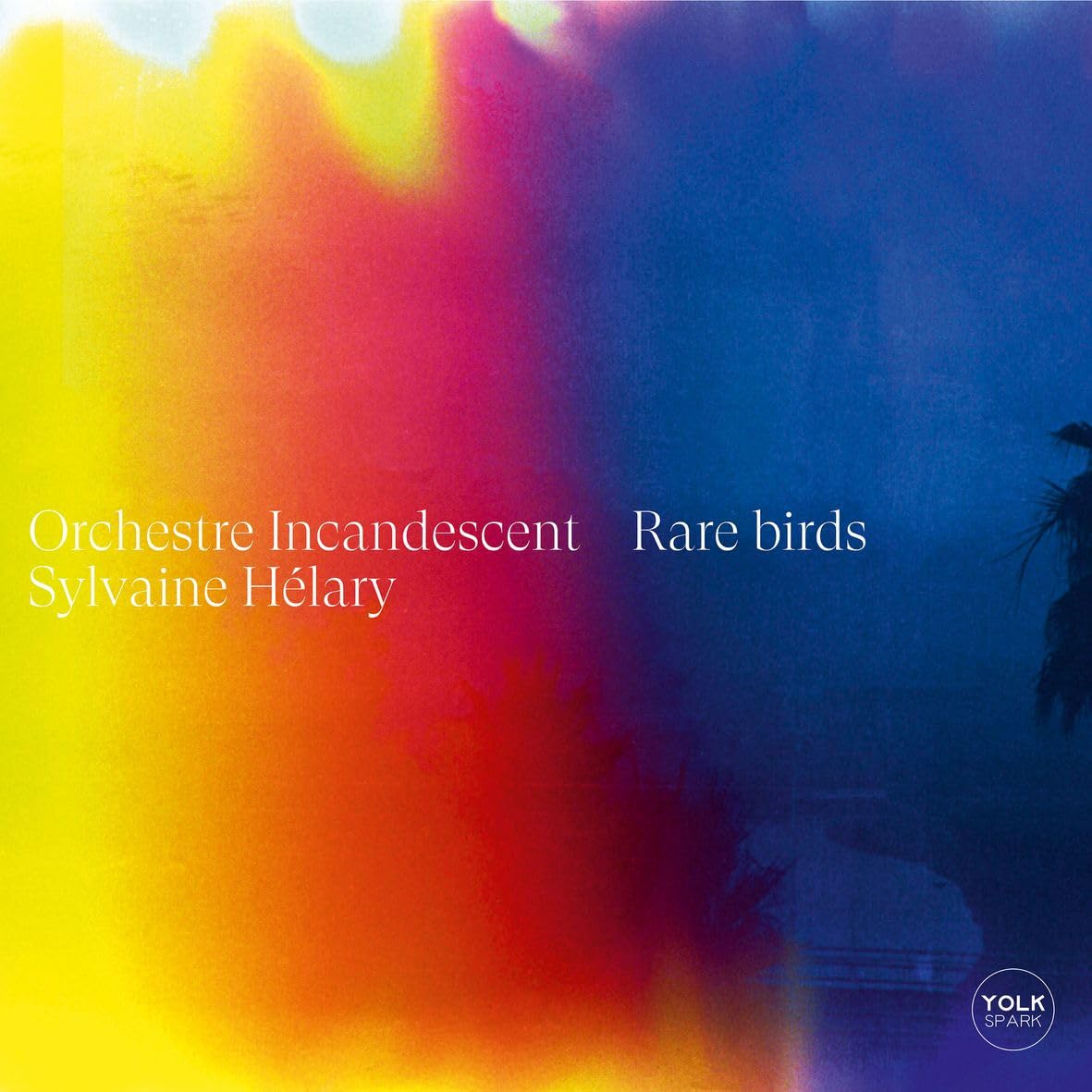 Rare Birds Jazz