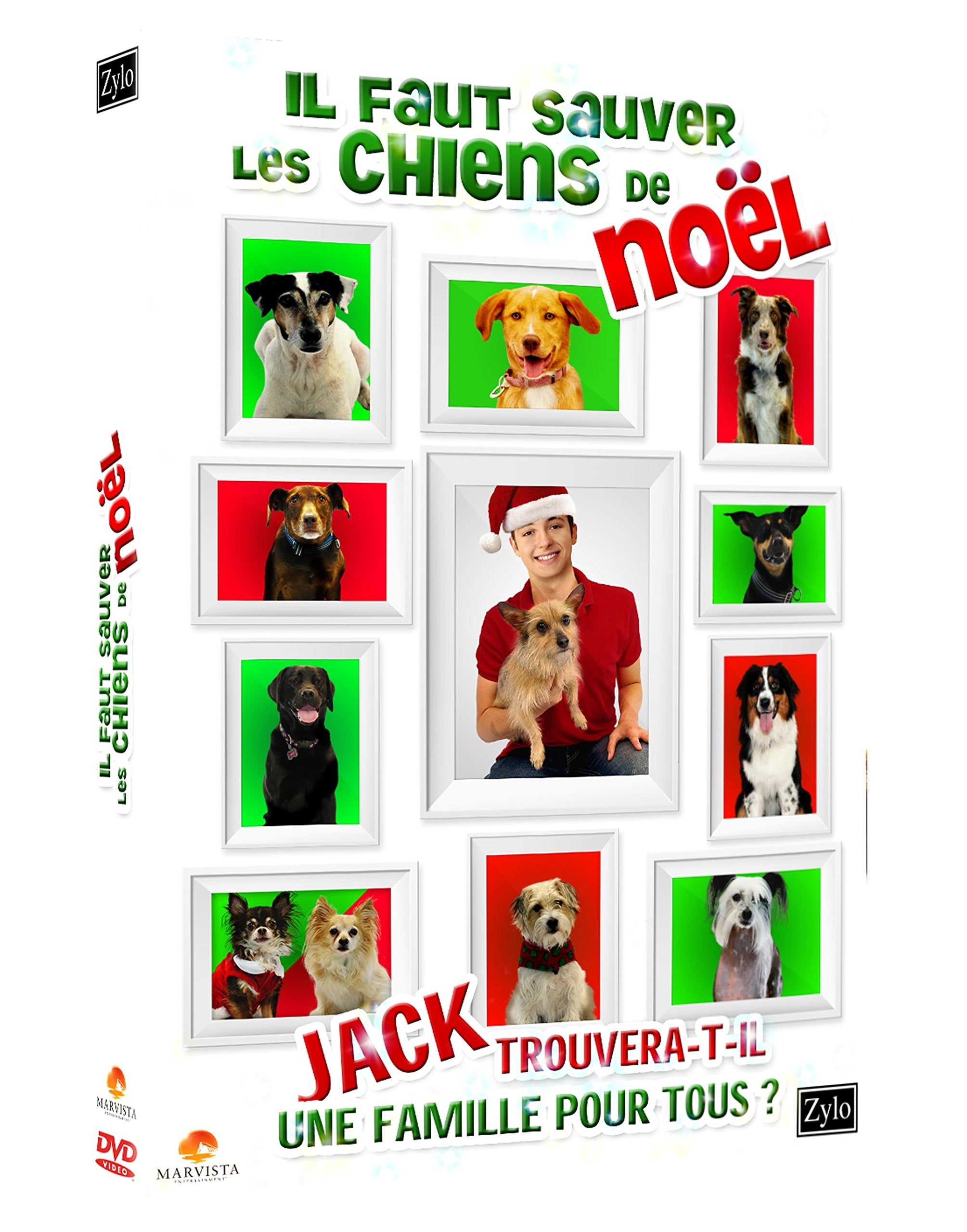 Il faut sauver les chiens de noël Films