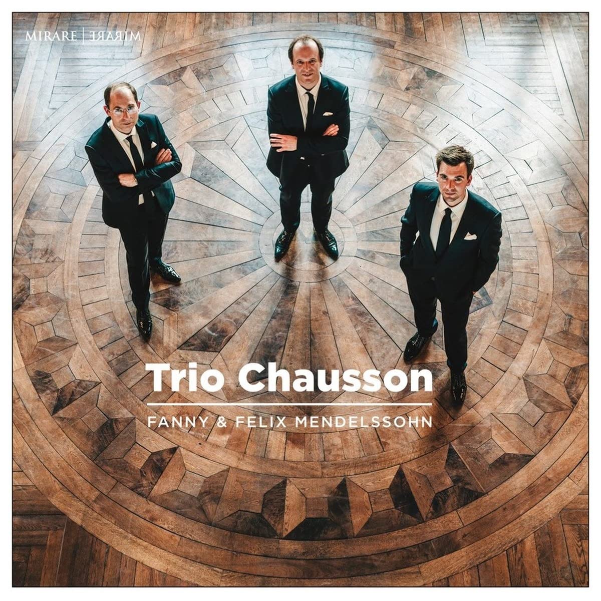 Piano Trio in D Minor Op.11 Piano Trio cd