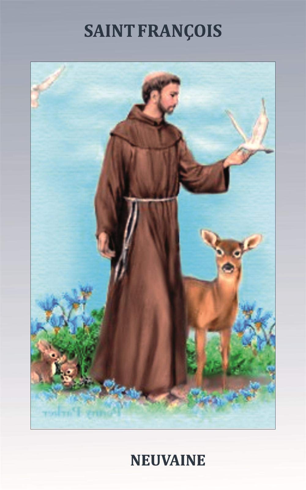 Livret de neuvaine à saint François d'Assise book