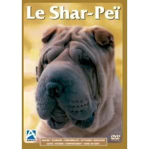Le sharpei Films