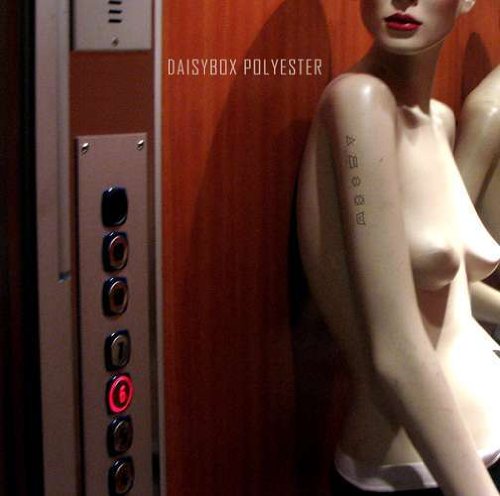 Polyester Rock