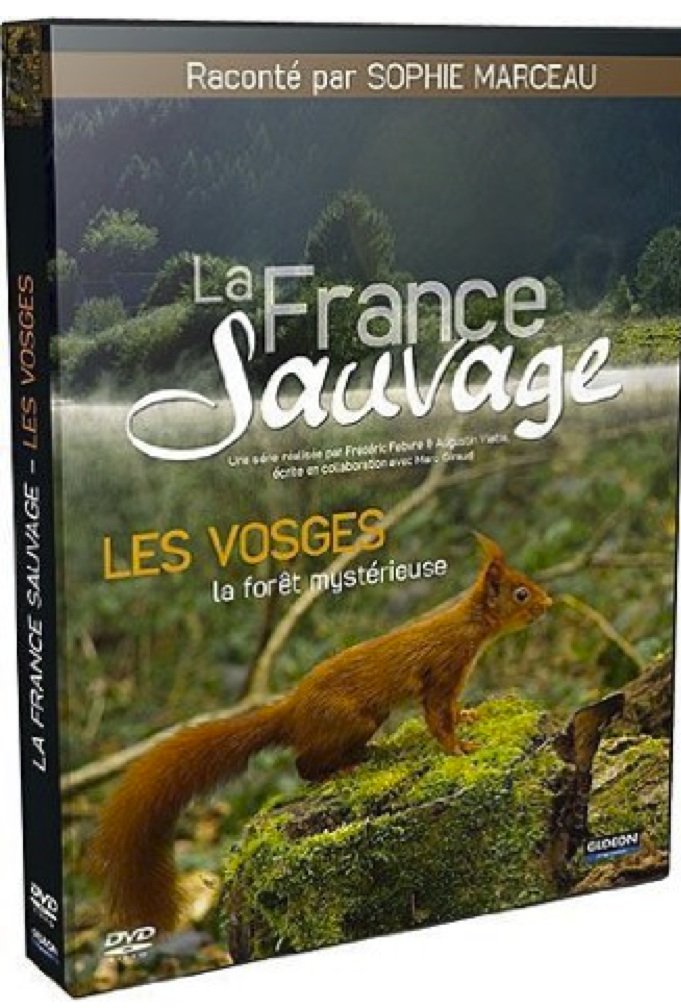 La France Sauvage-Les Vosges, la forêt mystérieuse dvd
