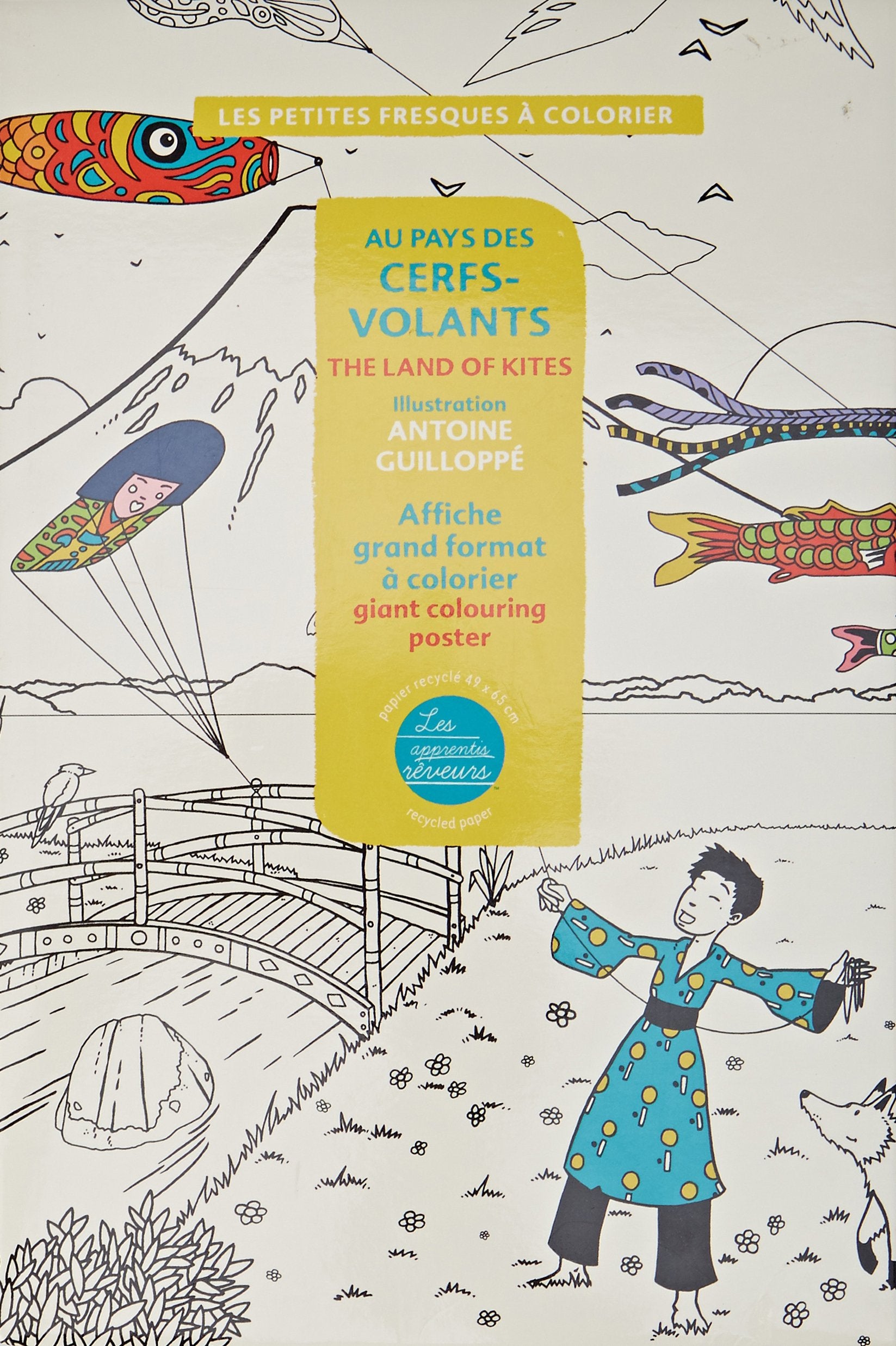 Au pays des cerfs-volants book