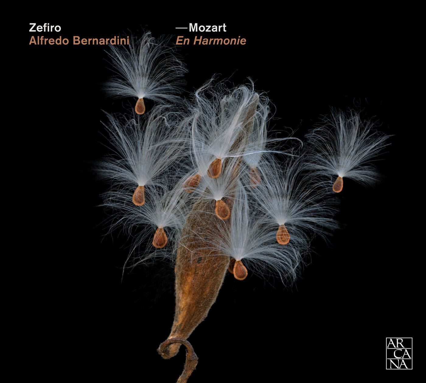Harmoniemusiken aus Le Nozze di Figaro,Don Giovan Classical