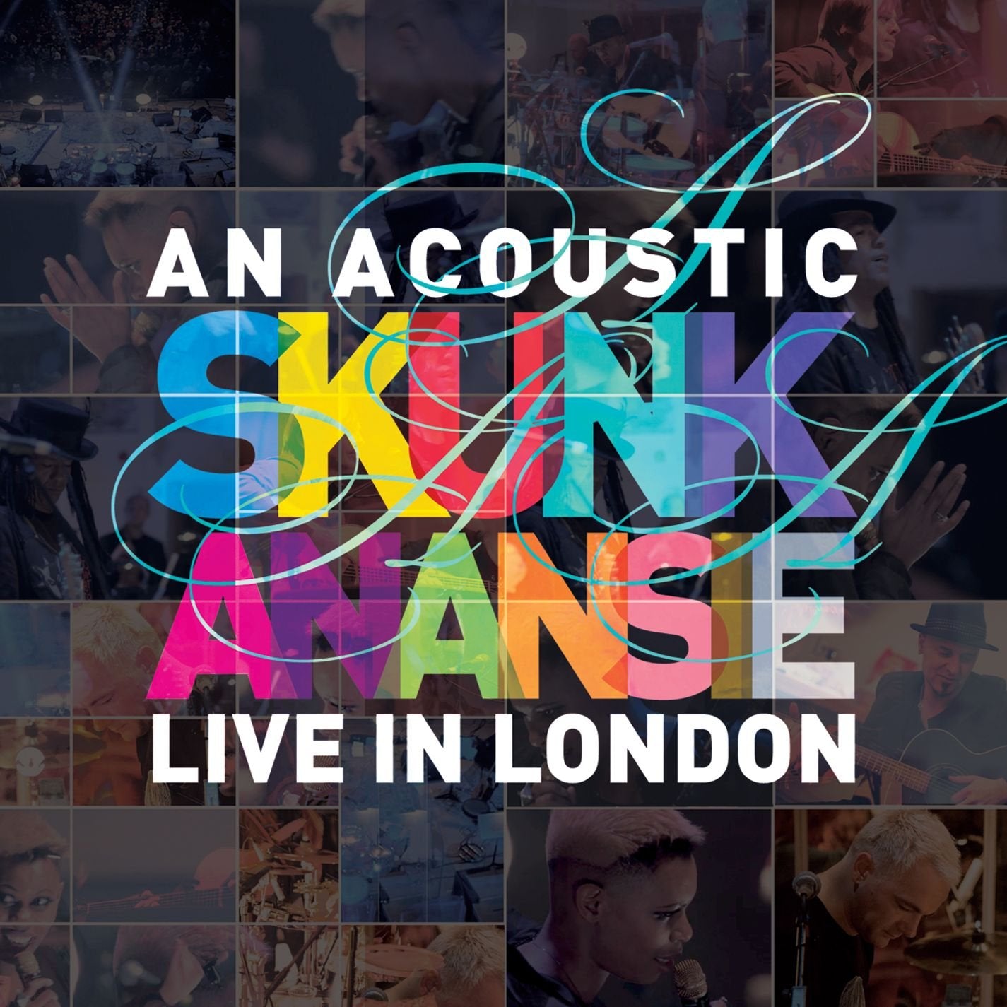 An Acoustic Skunk Anansie Live Films