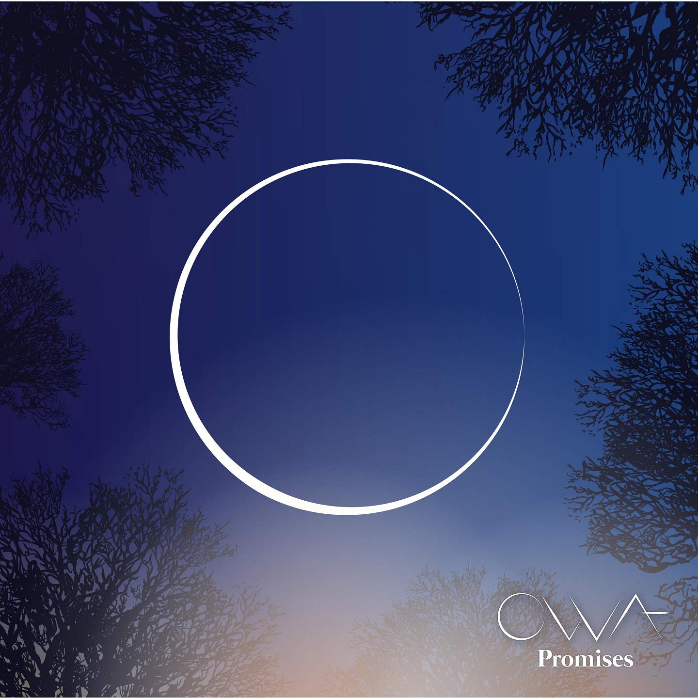 PROMISES cd