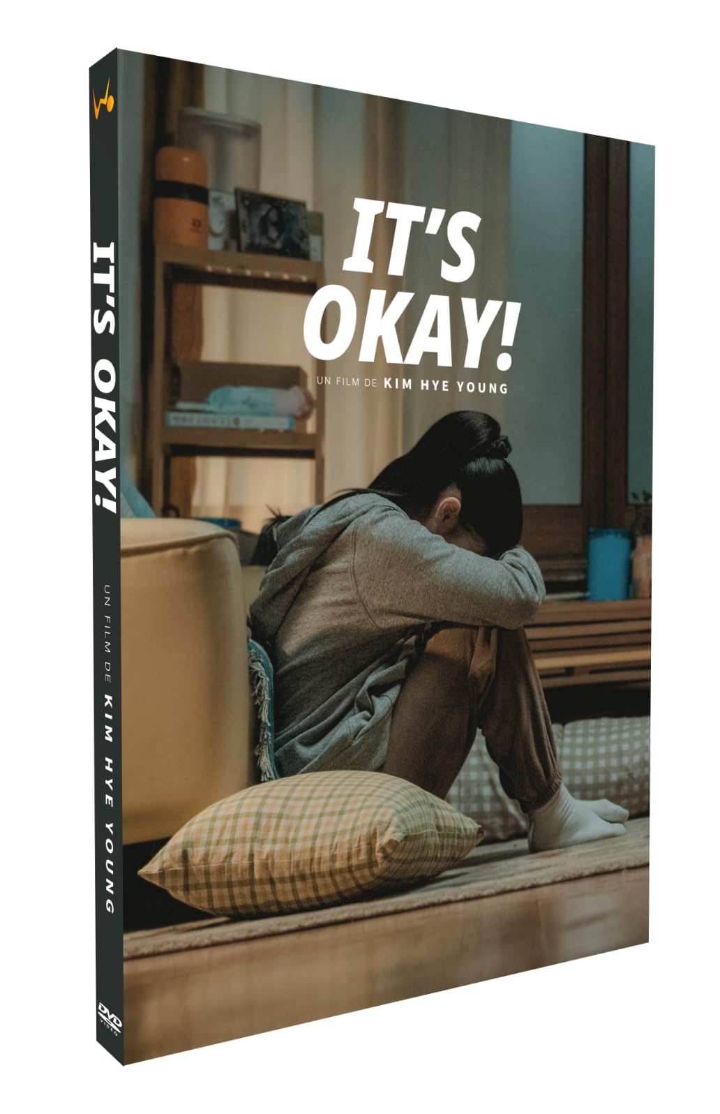IT’S OKAY! - DVD + LIVRET - EDITION LIMITEE dvd