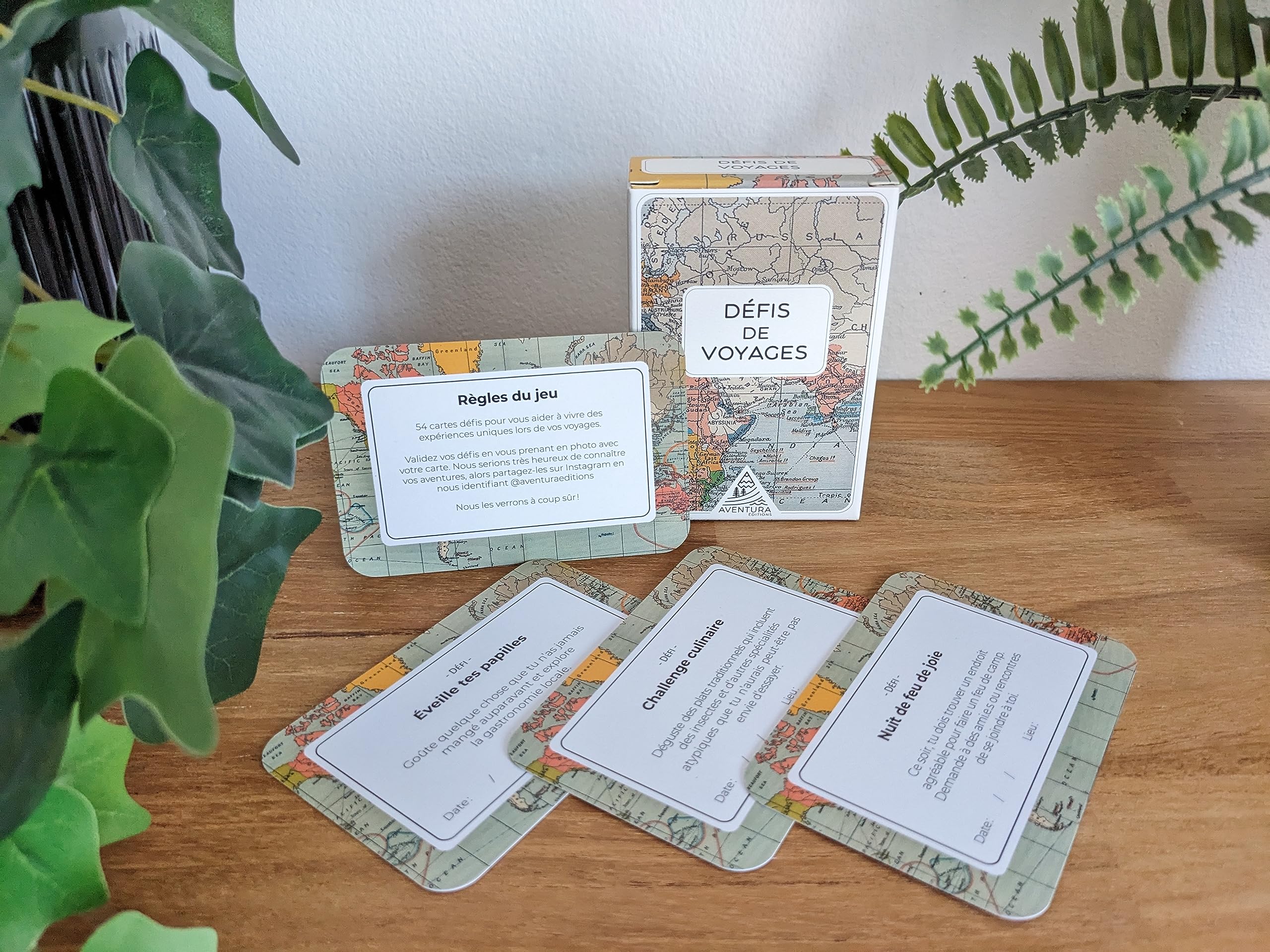 JEU DE CARTES DÉFIS DE VOYAGES book