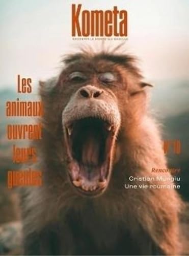 Kometa 10 - Bête dans un monde humain Essays & Short Stories