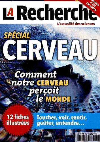 la recherche l’actualité des sciences; spécial cerveau; comment notre cerveau perçoit le monde; 12 fiches illustrées Books