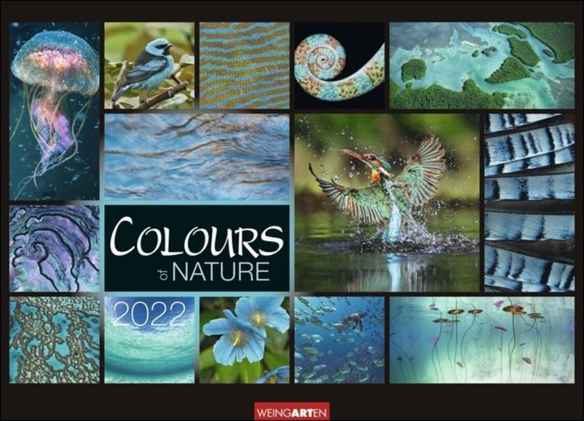 Colours of Nature Kalender 2022 Leisure, Home & Garden