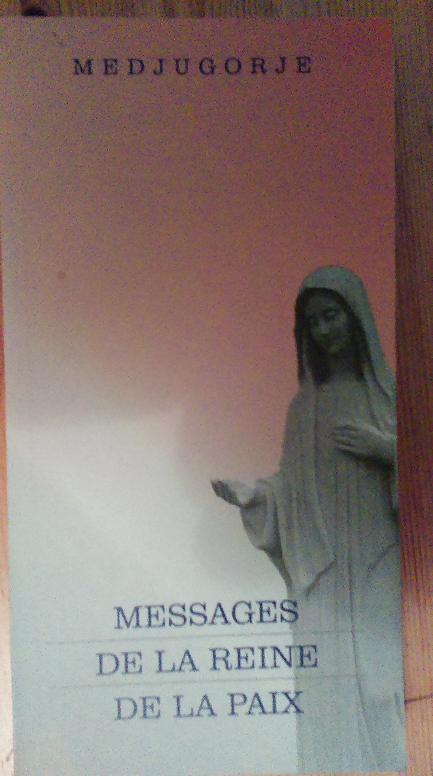 Messages de la reine de la paix book