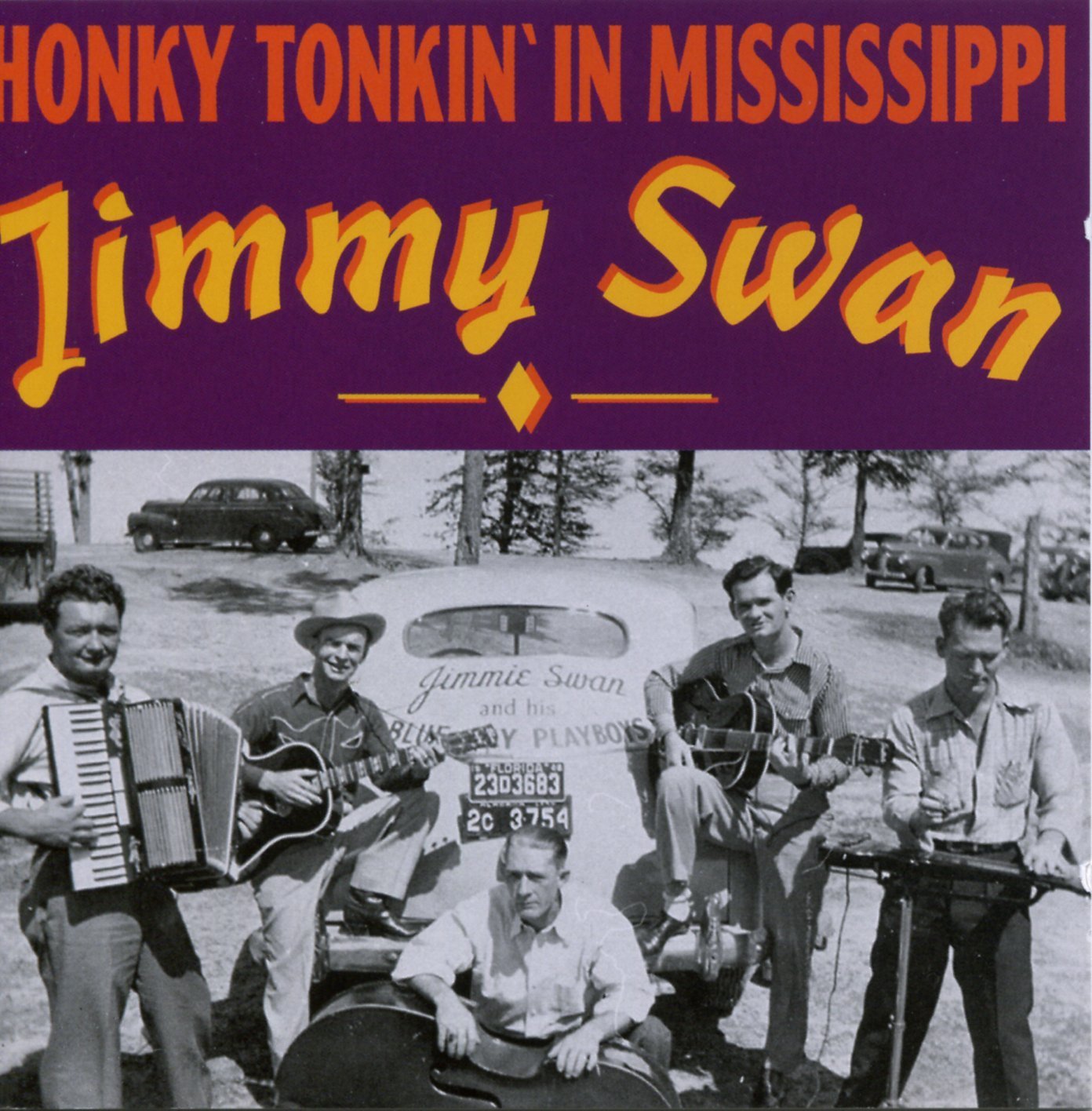 Honky Tonkin  In Mississippi Alternative & Indie