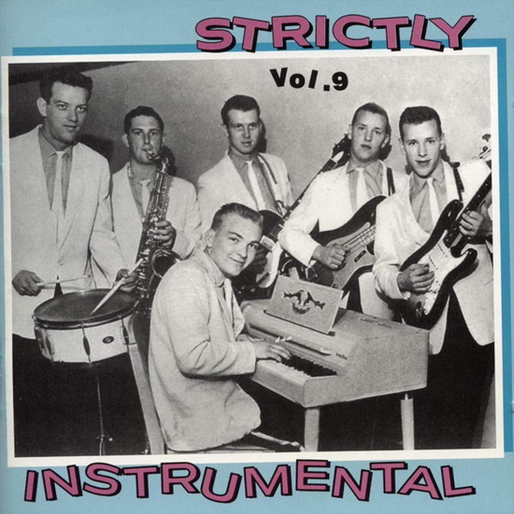Product Image: STRICTLY INSTRUMENTAL VOL 9  D