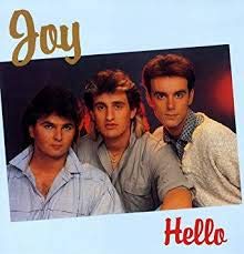 Hello / Why Are You Hurting Me So Much (Cover+Vinyl VG) Music