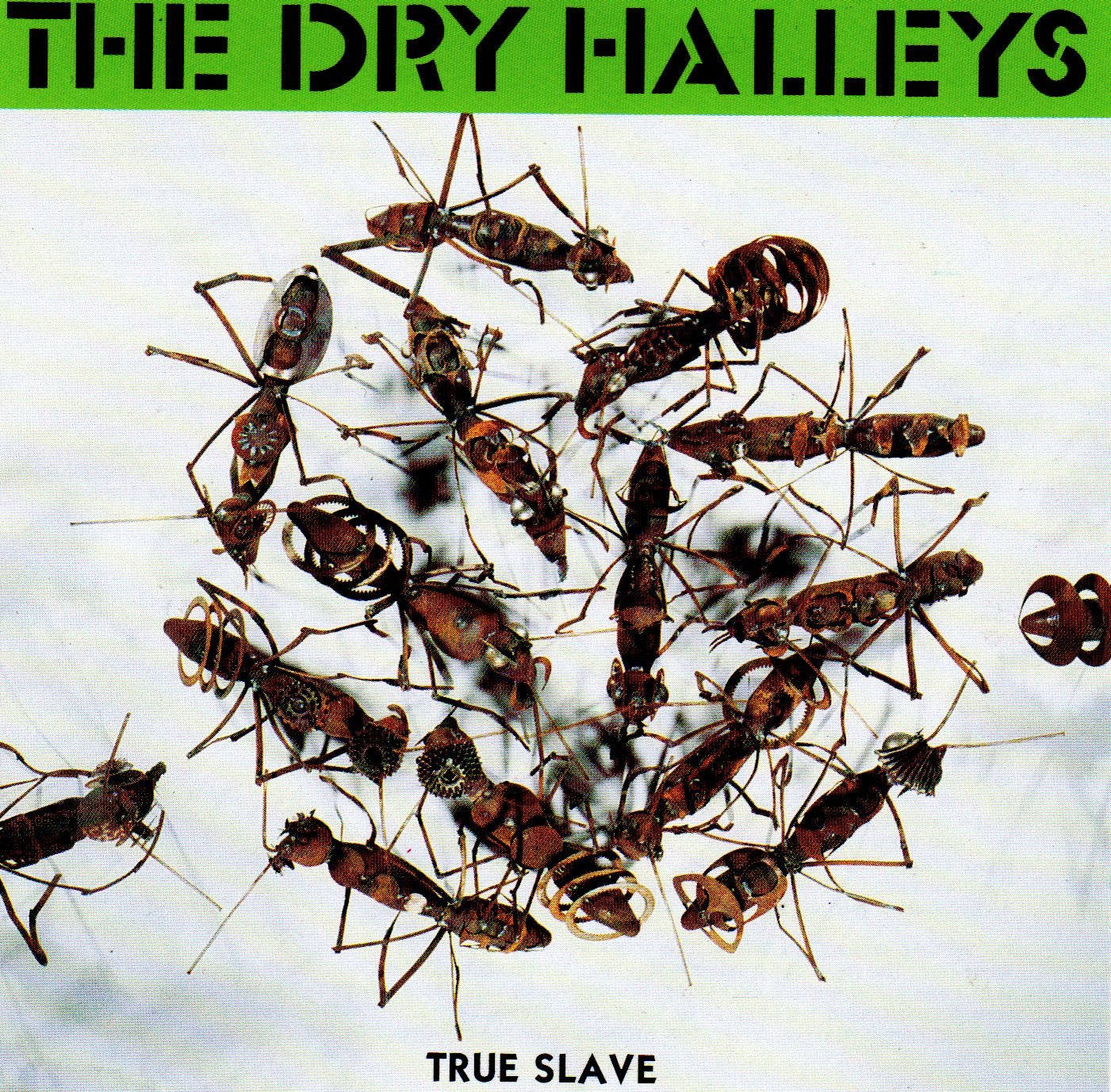 True Slave Pop