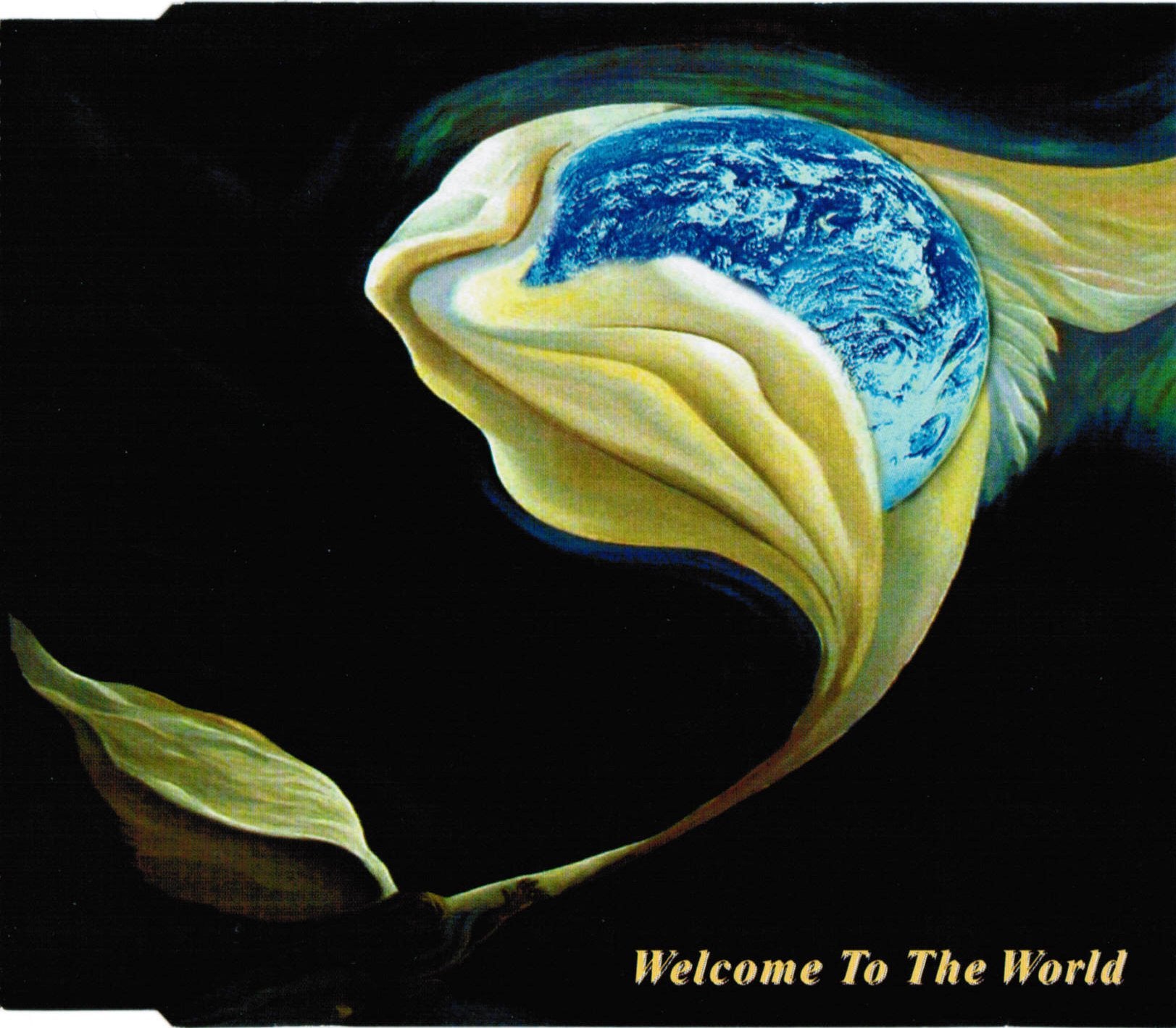 Welcome to the World Rock