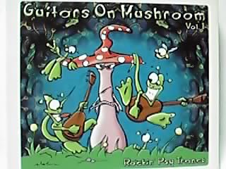 Guitars on Mushroom Dance & Electronic