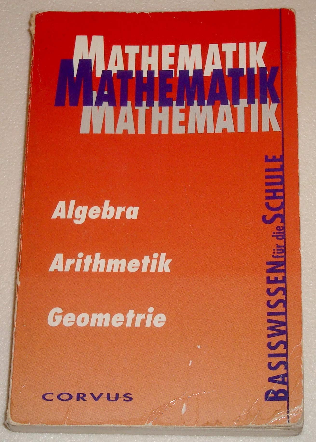 Basiswissen für die Schule - Mathematik Professional & Reference Books