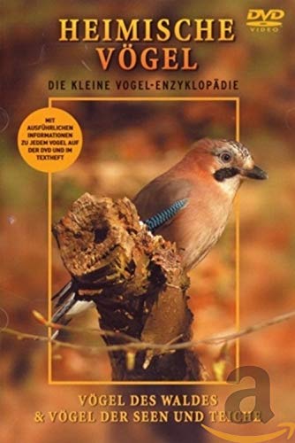 Heimische Vögel-Wald,Seen,Teiche Films