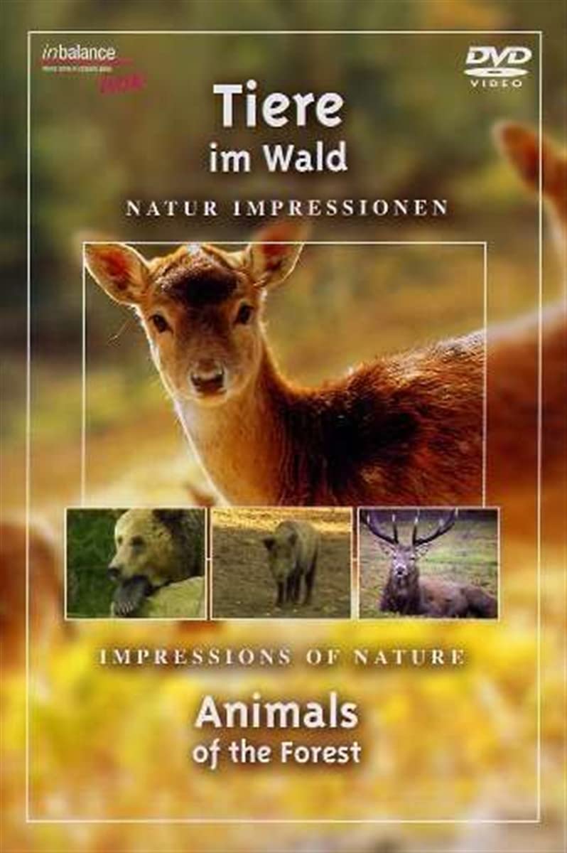 Tiere Im Wald-DVD Movies