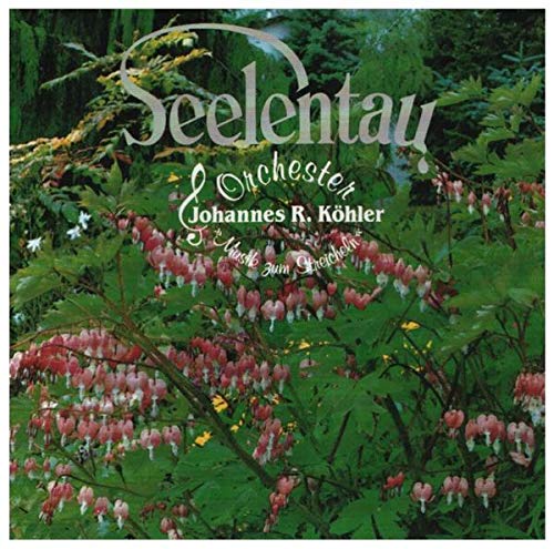 Seelentau-Musik zum Streicheln Music