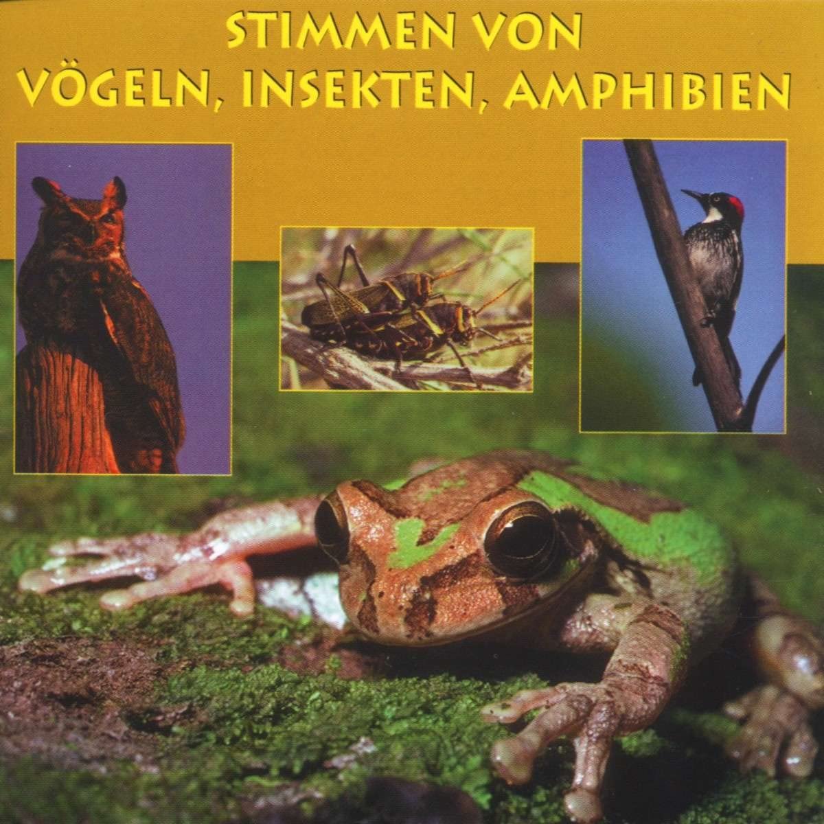 Stimmen V.Vögeln,Insekten,Amph Music