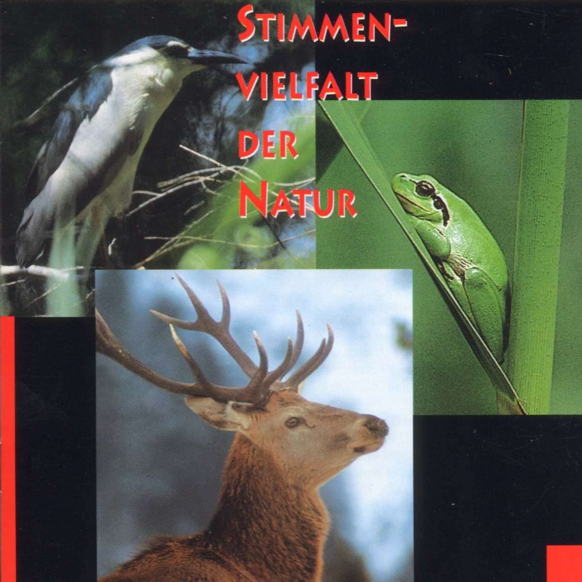 Stimmenvielfalt Der Natur Music