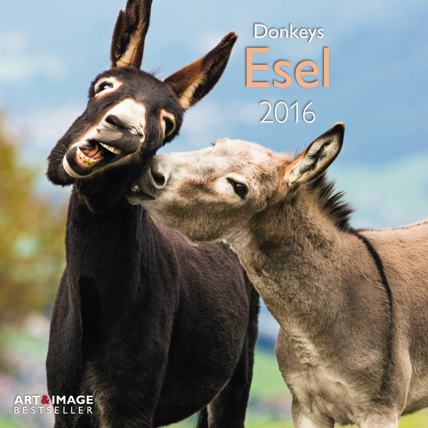 Esel 2016 A&I: Donkeys Books