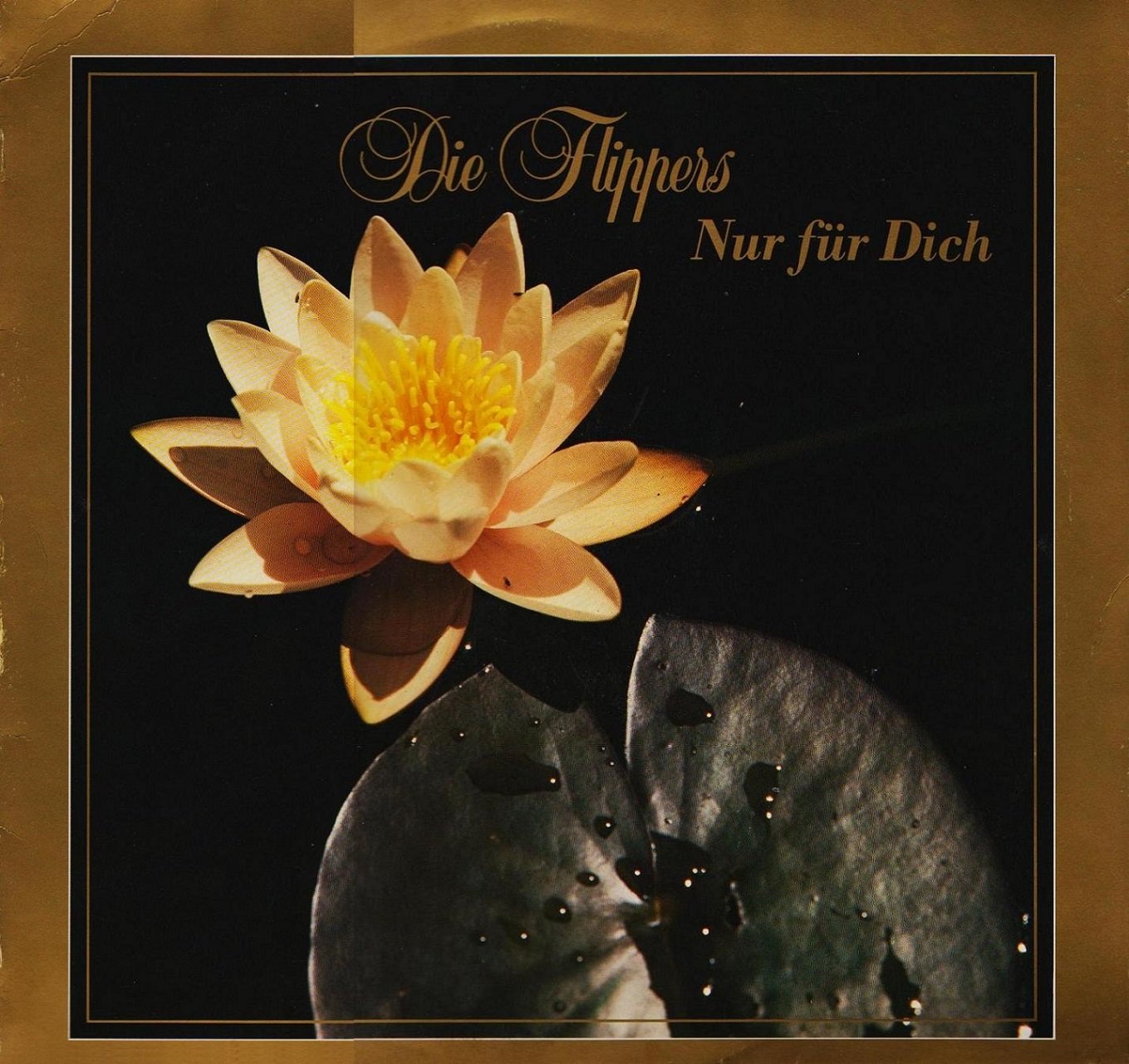 Nur für dich (1988) German Schlager & Volksmusik