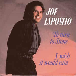 To turn to stone (1989) / Vinyl single Music